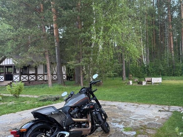 2018 Harley-Davidson FXDR 114, чёрный, 2200000 рублей - вид 4