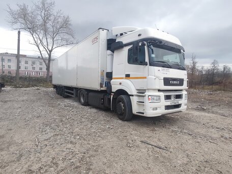 2019 КамАЗ 5490, белый, 3600000 рублей, вид 2