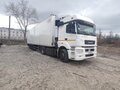2019 КамАЗ 5490, белый, 3600000 рублей - вид 1
