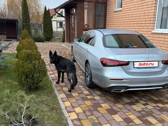 2020 Mercedes-Benz E-Класс 220 d V (W213, S213, C238) Рестайлинг, серебристый, 4730000 рублей - вид 6