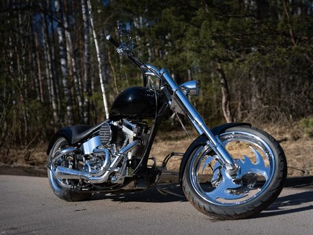 2009 Harley-Davidson Softail Custom, чёрный, 1200000 рублей, вид 3