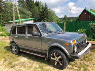 2012 Lada (ВАЗ) 2131 (4x4) Рысь I, серый, 280000 рублей, вид 3