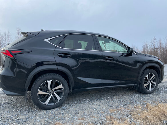 2019 Lexus NX 300 I Рестайлинг, чёрный, 5900000 рублей - вид 5