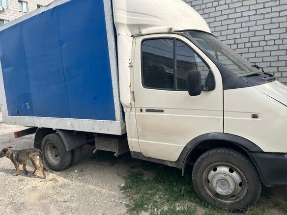 2002 ГАЗ ГАЗель (3302), бежевый, 350000 рублей