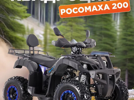 2025 Другие ATV (другие), золотистый, 215000 рублей, вид 2