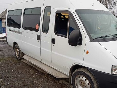 2009 Fiat Professional Ducato, белый, 1300000 рублей, вид 1