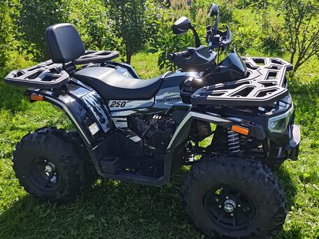 2025 Tao Motor Titan 250, чёрный, 240000 рублей, вид 3