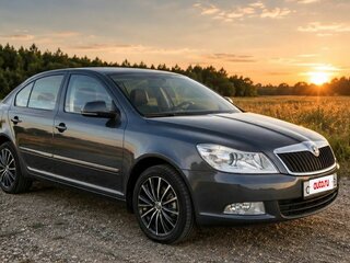 2009 Skoda Octavia II (A5) Рестайлинг, серый, 700000 рублей, вид 1