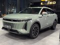 2024 Exeed RX, зелёный