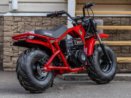 2025 Lucky Duck RB200, красный, 94990 рублей, вид 5