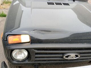 2024 Lada (ВАЗ) Niva Legend I, зелёный, 900000 рублей, вид 5