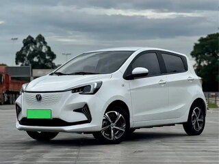 2022 Changan Benben E-Star 32 kWh, белый, 980000 рублей, вид 1