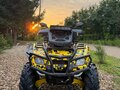 2006 BRP Can-Am Outlander 800, жёлтый, 540000 рублей - вид 6