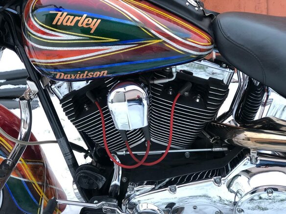 2004 Harley-Davidson Softail Custom, красный, 1188668 рублей - вид 31