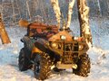 2008 Yamaha Grizzly 700, зелёный, 729000 рублей - вид 1