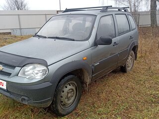 2010 Chevrolet Niva I Рестайлинг, серый, 300000 рублей, вид 5