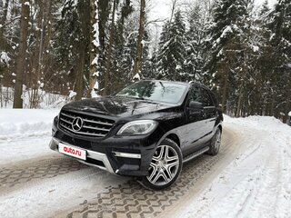 2013 Mercedes-Benz M-Класс 350 CDI III (W166), чёрный, 2500000 рублей, вид 1