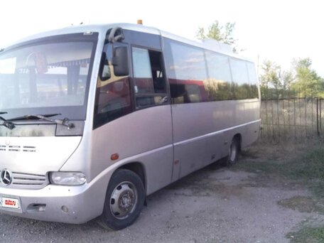 2004 Mercedes-Benz Vario, серебристый, 1500000 рублей, вид 2
