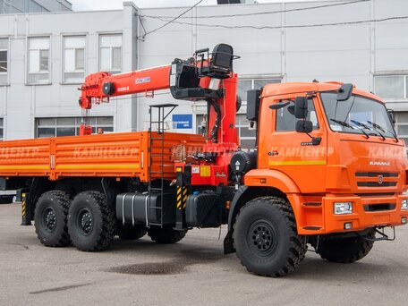 2024 КамАЗ 43118, оранжевый, 11800000 рублей, вид 2