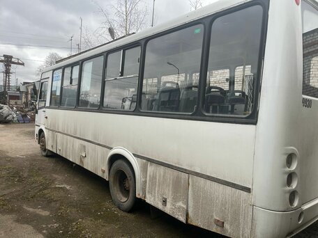 2017 ПАЗ 3204, белый, 600000 рублей, вид 3