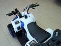 2021 Motoland ATV 110 Eagle, белый - вид 8