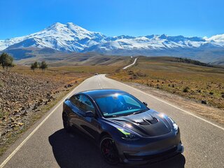 2023 Tesla Model 3 Performance I, серый, 4500000 рублей, вид 1