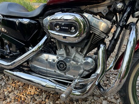 2008 Harley-Davidson Sportster 883, пурпурный, 599000 рублей, вид 2