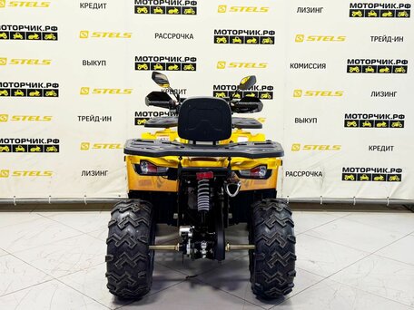 2026 Motoland Wild Track 200 X Pro, жёлтый, 219000 рублей, вид 4