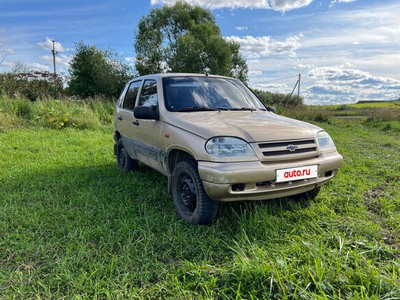 2004 Chevrolet Niva I, бежевый, 100000 рублей - вид 1