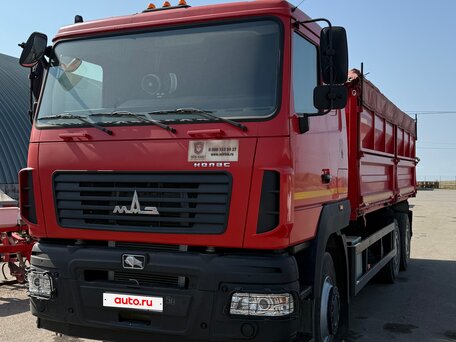 2019 МАЗ 6501, красный, 5900000 рублей, вид 1