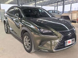 2021 Lexus NX 200 I Рестайлинг, зелёный, 3347000 рублей, вид 2
