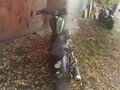 2014 Yamaha XV950 Bolt, зелёный, 600000 рублей - вид 3