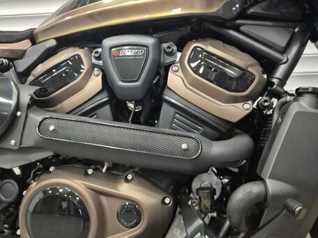 2022 Harley-Davidson Sportster S, коричневый, 2650000 рублей, вид 4