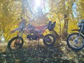2025 BSE MX 125, оранжевый, 64999 рублей - вид 6