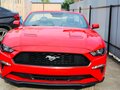 2019 Ford Mustang VI Рестайлинг, красный, 3200000 рублей - вид 1