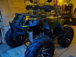 2025 Max TraxMAX, зелёный, 290000 рублей, вид 1
