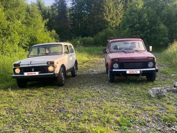 1981 Lada (ВАЗ) 2121 (4x4) I, красный, 210000 рублей - вид 13