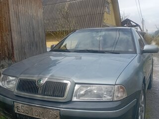 2001 Skoda Octavia I (A4) Рестайлинг, голубой, 350000 рублей, вид 1