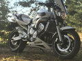 2004 Yamaha FZ6, белый, 450000 рублей - вид 5