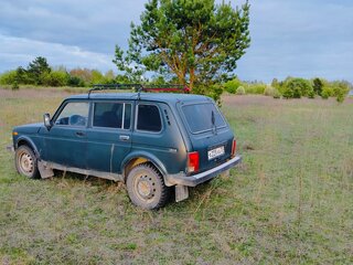 2006 Lada (ВАЗ) 2131 (4x4) I, зелёный, 350000 рублей, вид 4