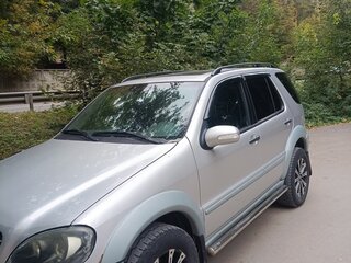 2002 Mercedes-Benz M-Класс 400 I (W163) Рестайлинг, серый, 600000 рублей, вид 5