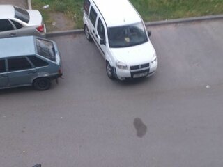 2013 Fiat Doblo I Рестайлинг, белый, 700000 рублей, вид 5