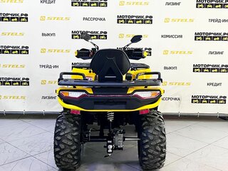 2025 Tao Motor Titan 300, жёлтый, 449000 рублей, вид 2