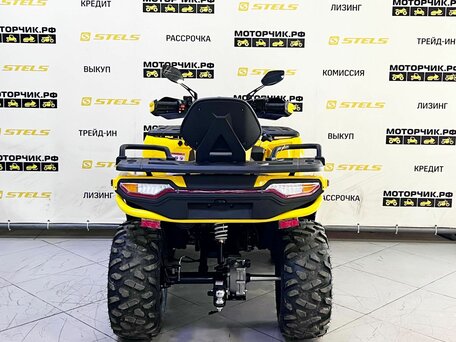 2025 Tao Motor Titan 300, жёлтый, 449000 рублей, вид 2