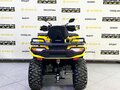 2025 Tao Motor Titan 300, жёлтый, 449000 рублей - вид 1