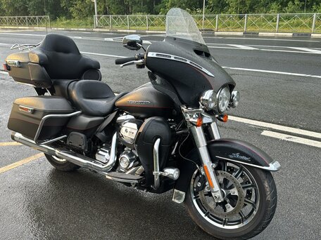 2019 Harley-Davidson Ultra Limited, коричневый, 2600000 рублей, вид 1