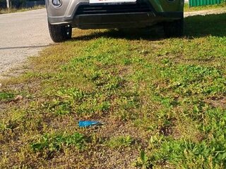 2012 Nissan X-Trail II Рестайлинг, серый, 1300000 рублей, вид 1