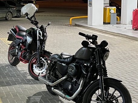 2015 Harley-Davidson Sportster 883, серый, 800000 рублей, вид 1