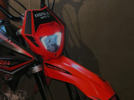 2024 Regulmoto Seven Pro, чёрный, 75000 рублей, вид 4