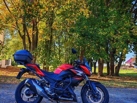 2015 Kawasaki Z 250, оранжевый, 300000 рублей, вид 1